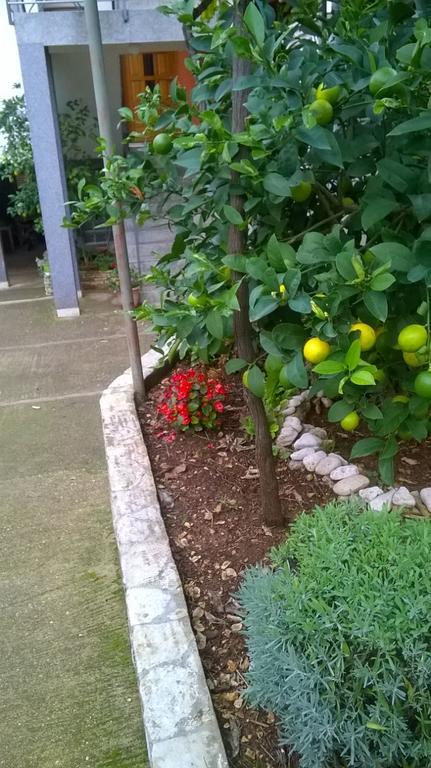 Apartment Anny Pula Zewnętrze zdjęcie