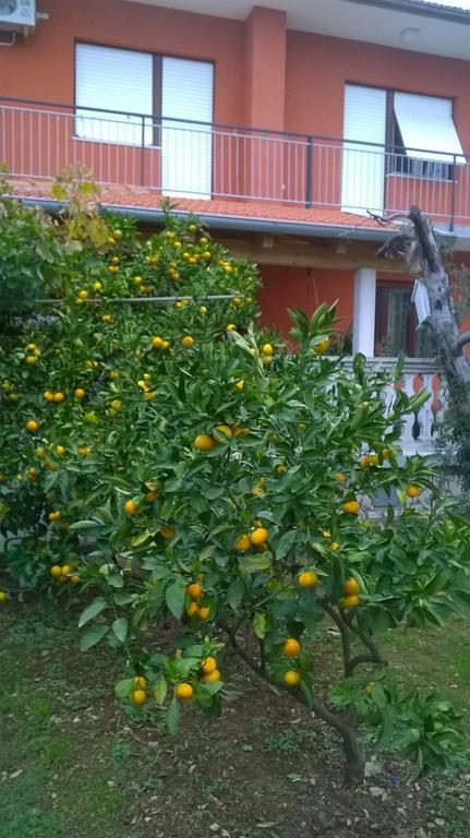 Apartment Anny Pula Zewnętrze zdjęcie